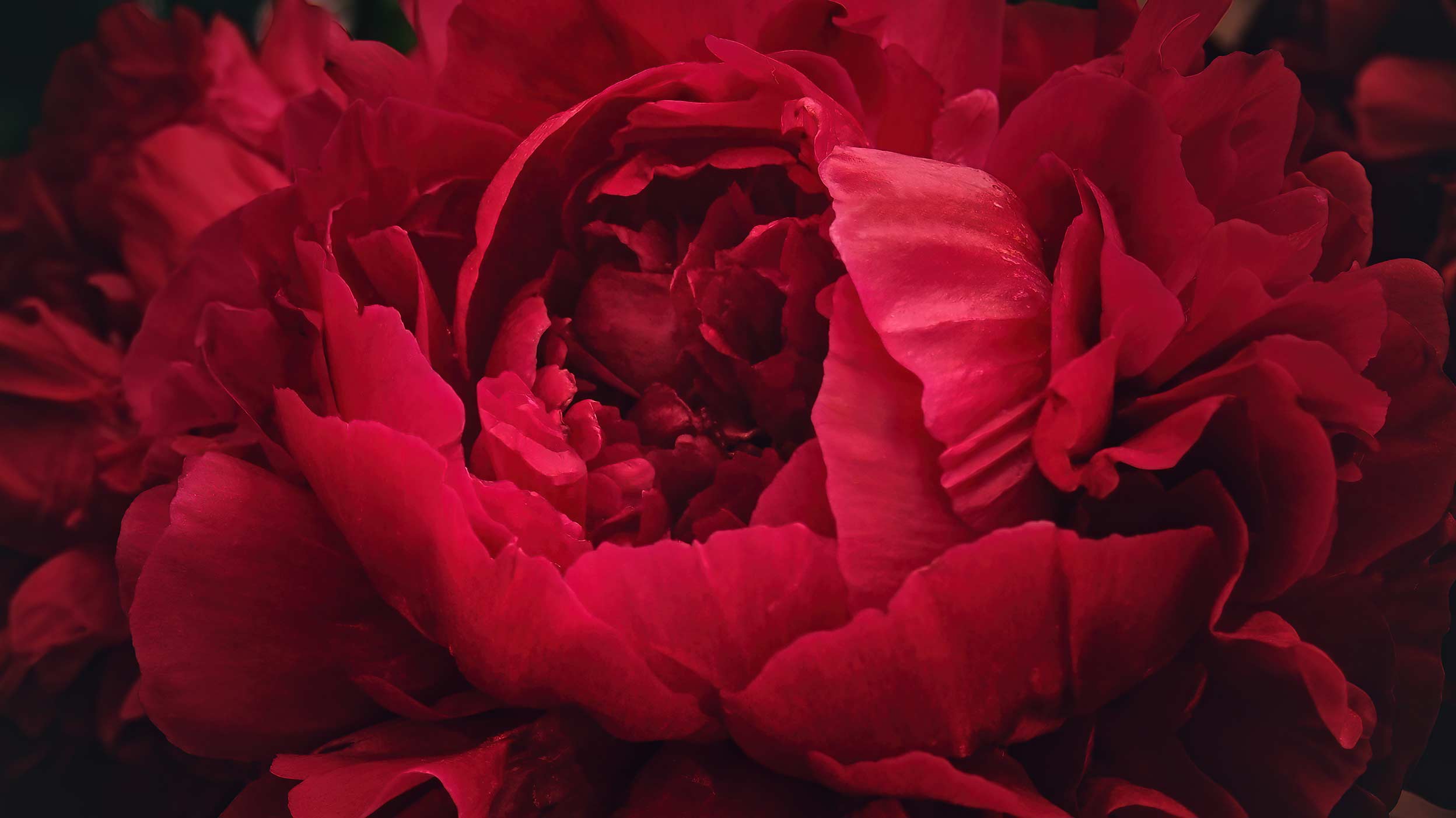 Moskvada tojik yashirin kamera